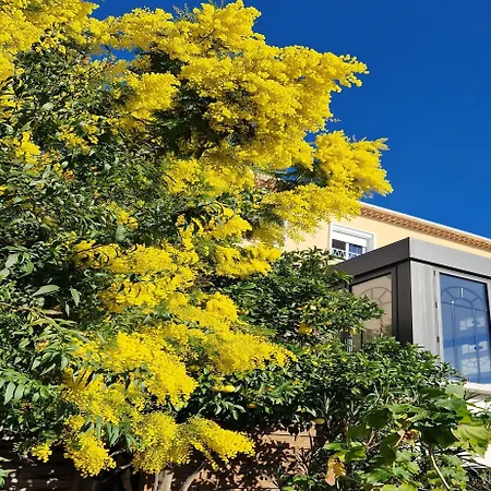 La Petite Boheme Hotel 3*