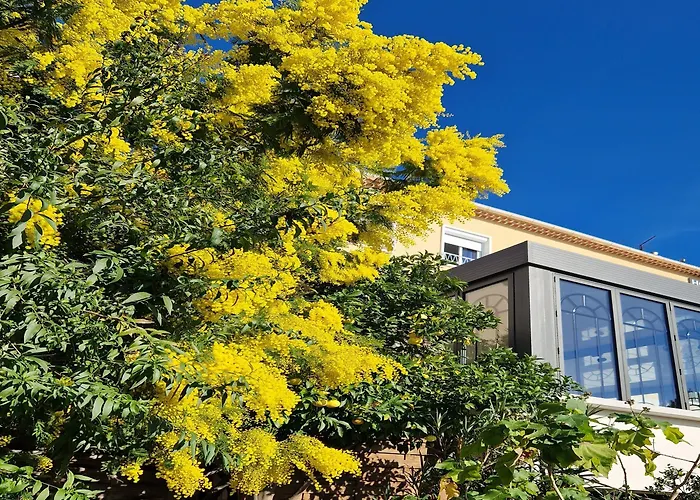 小波希米亚酒店 酒店 3*