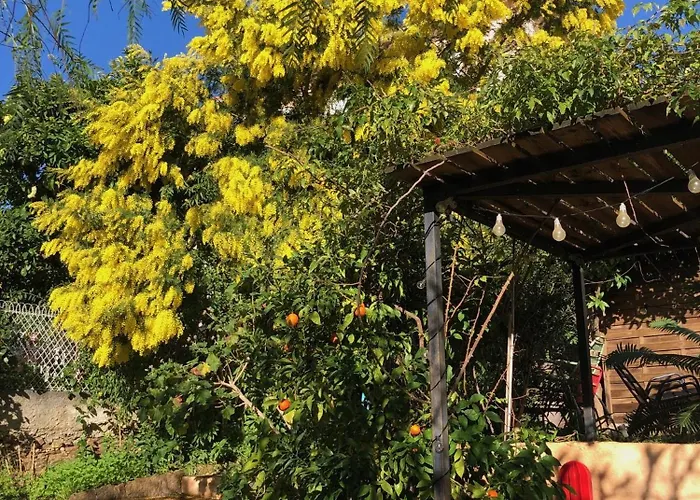 酒店 小波希米亚酒店 3*